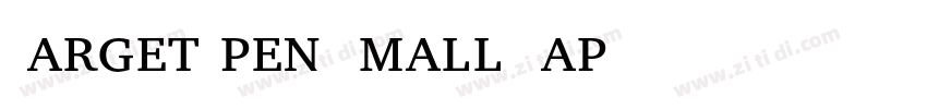 TargetOpen Small Cap字体转换